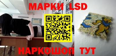 индика Будённовск
