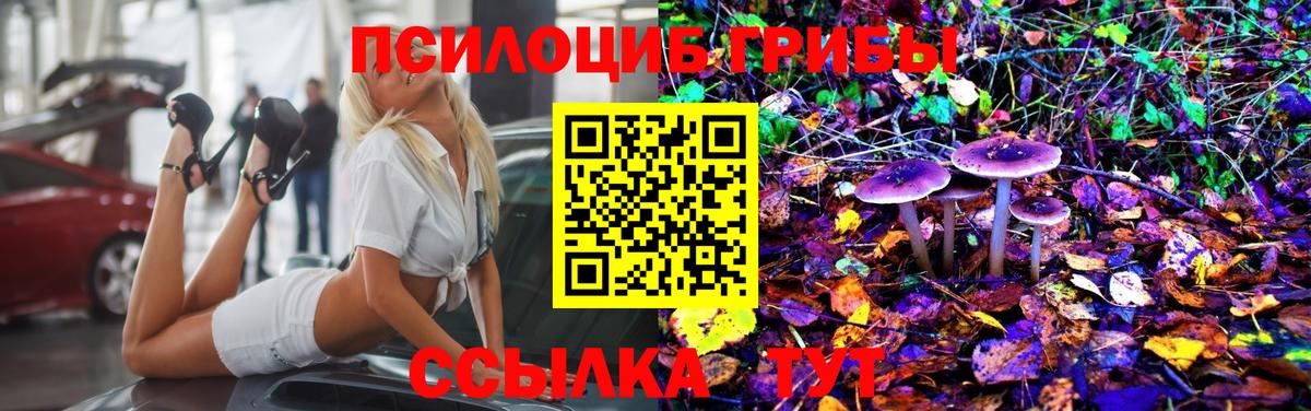Псилоцибиновые грибы Psilocybine cubensis Можайск