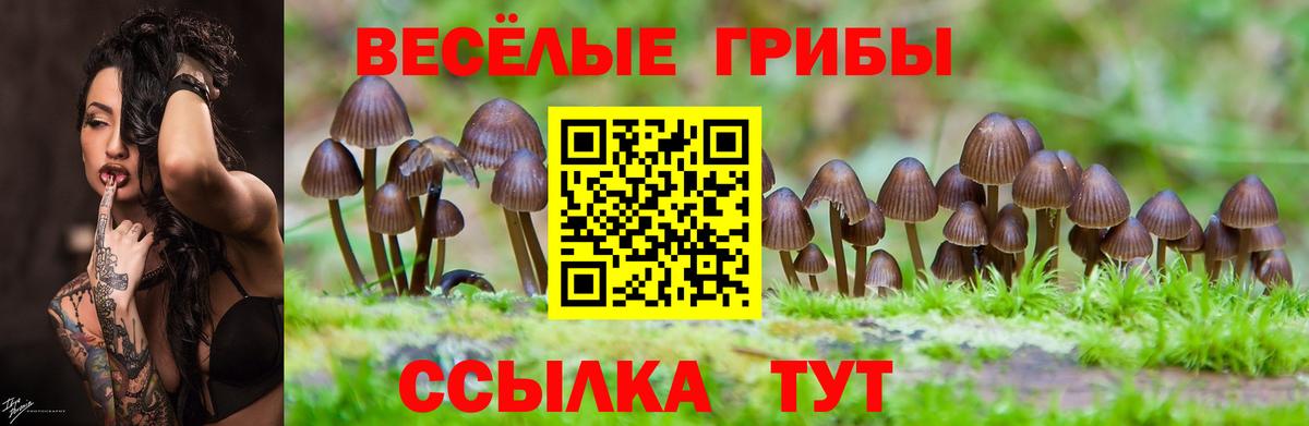Псилоцибиновые грибы ЛСД  Вход с VPN  Можайск 